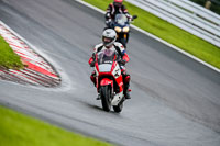 PJ-Motorsport-2019;anglesey;brands-hatch;cadwell-park;croft;donington-park;enduro-digital-images;event-digital-images;eventdigitalimages;mallory;no-limits;oulton-park;peter-wileman-photography;racing-digital-images;silverstone;snetterton;trackday-digital-images;trackday-photos;vmcc-banbury-run;welsh-2-day-enduro